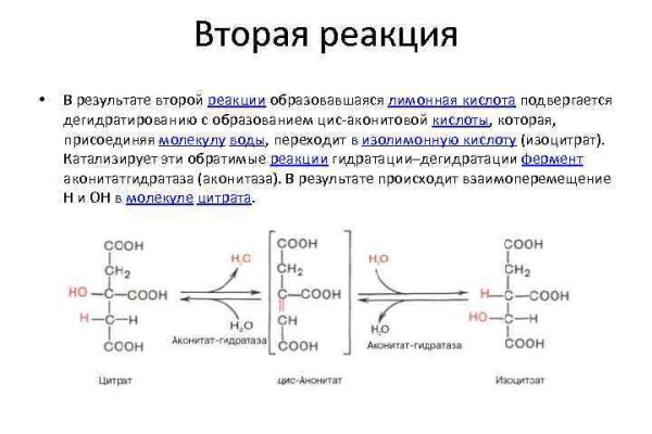 Кракен at сегодня работает ли