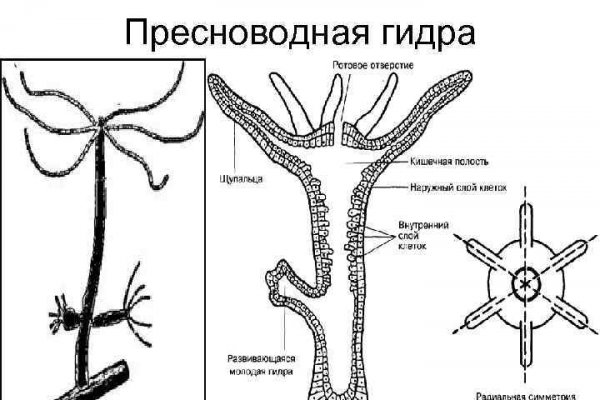 Кракен маркетплейс это