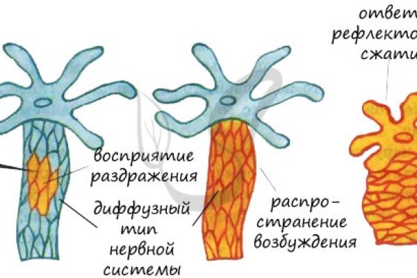 Kraken ссылка сайт kraken clear com